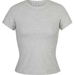 Skims Cotton Jersey T-shirt in Heather Gray
